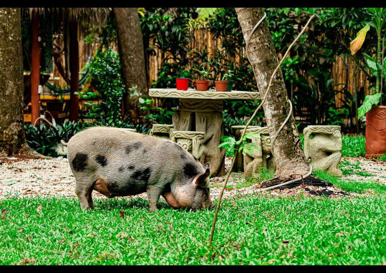 Villas Pura Vibra Potrero  Luaran gambar